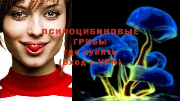 дмт Дмитровск