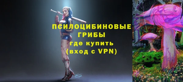 МДМА Гусев
