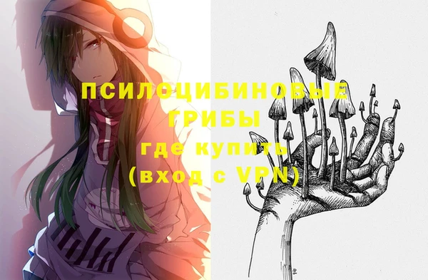 крисы Дмитров