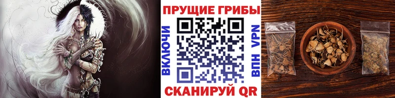как найти закладки  Похвистнево  Псилоцибиновые грибы ЛСД 
